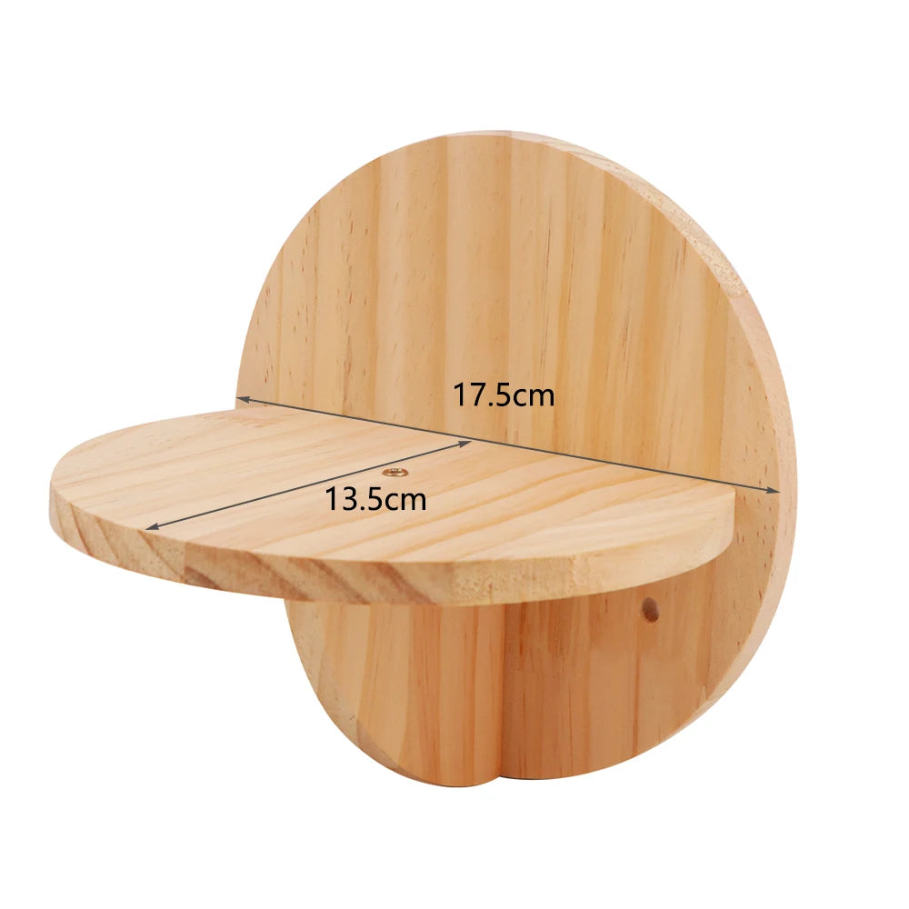 Arbre à Chat Mural Escalade Bois – Étagères Plateforme Saut Hamac Escalier | Aire de Jeux Chaton Mobilier
