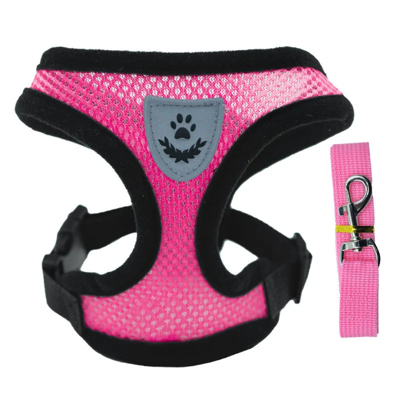 Harnais Gilet Chat & Chien Laisse Promenade Maille Réglable Polyester – Collier Confortable Petite & Moyenne Race | Accessoires Animaux