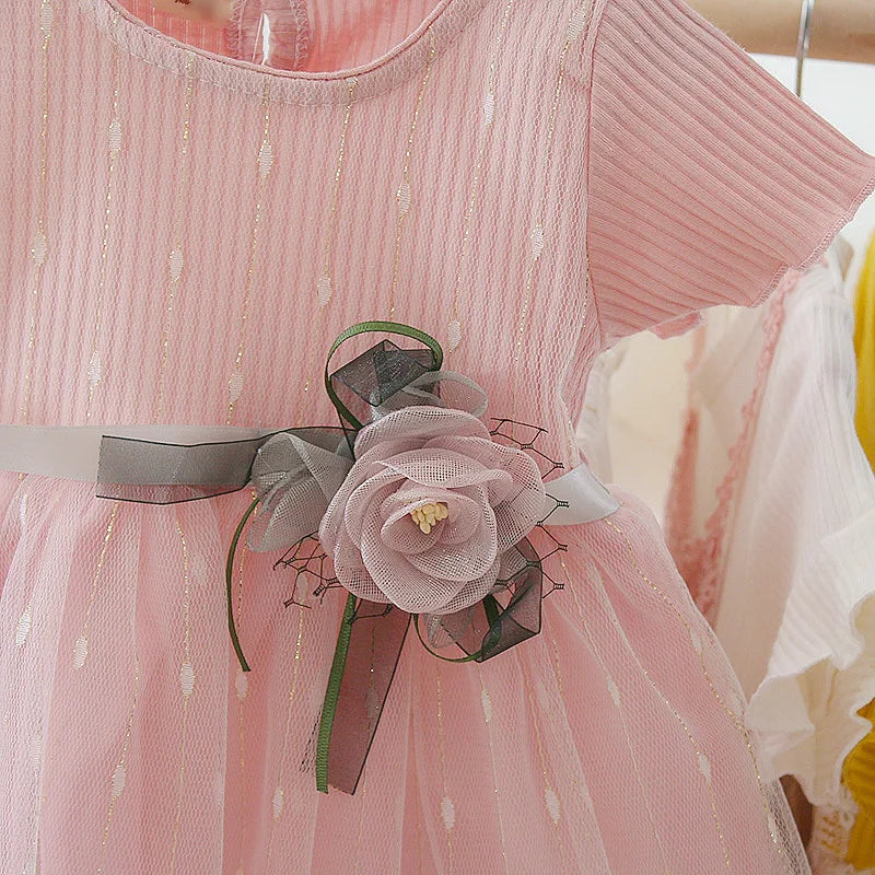 Robe Princesse Bébé Fille Été Tulle Fleurs Ruban – Robe Anniversaire Fête Mignonne Enfant