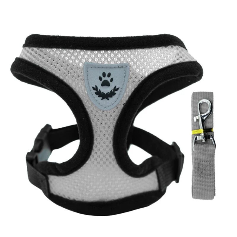 Harnais Gilet Chat & Chien Laisse Promenade Maille Réglable Polyester – Collier Confortable Petite & Moyenne Race | Accessoires Animaux