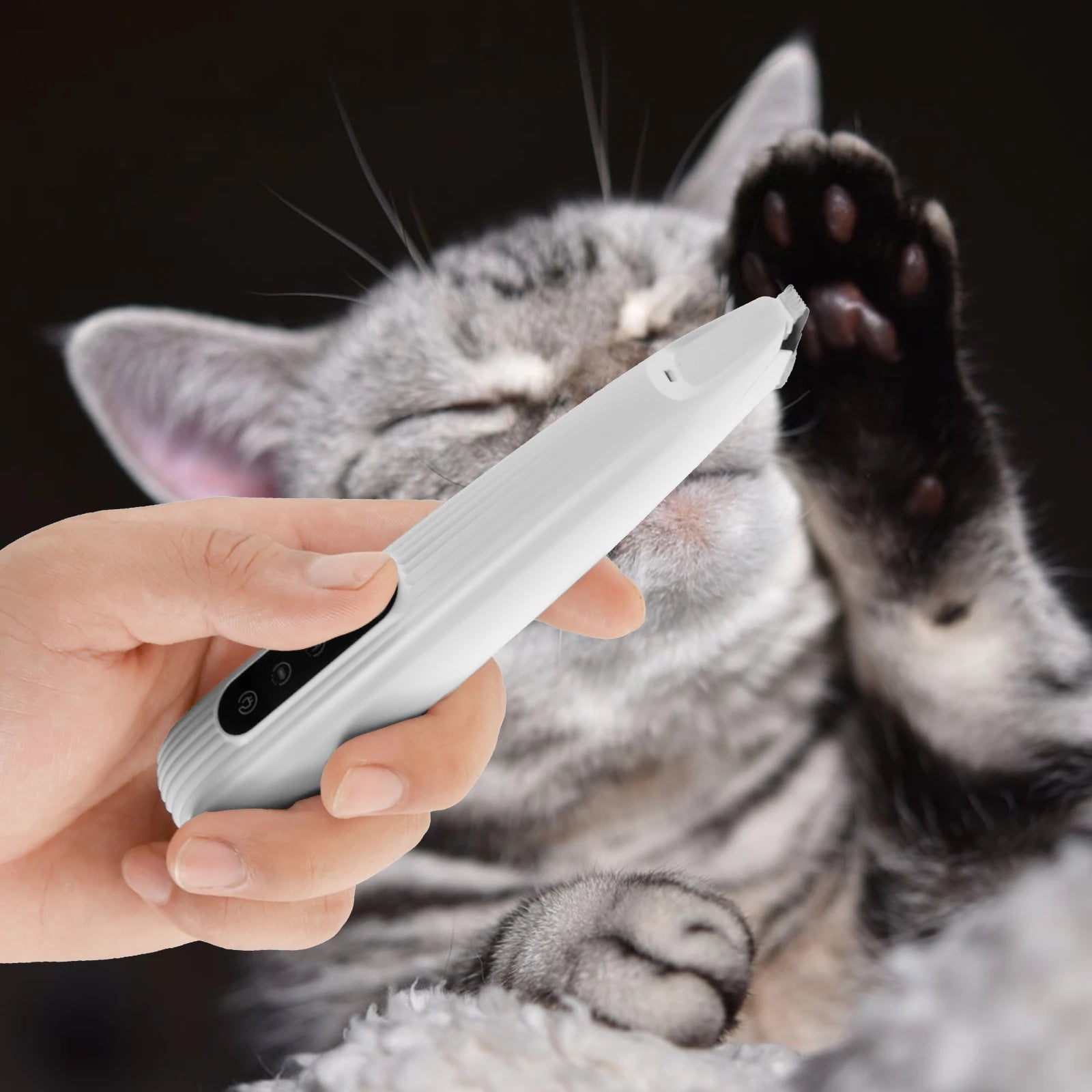 Tondeuse Pattes Chien Chat Silencieuse USB LED – Toilettage Visage Oreilles Pieds Rechargeable