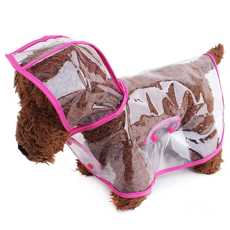 Imperméable Chien Transparent Poncho Imperméable Mode Bords Colorés Personnalisés – Costume Pluie Grande Race | Accessoires Chien